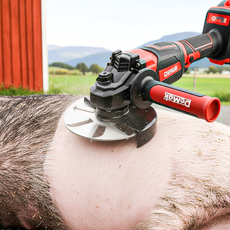 🧰Škrabka na odstraňovanie prasacích chlpov šetriaci prácu