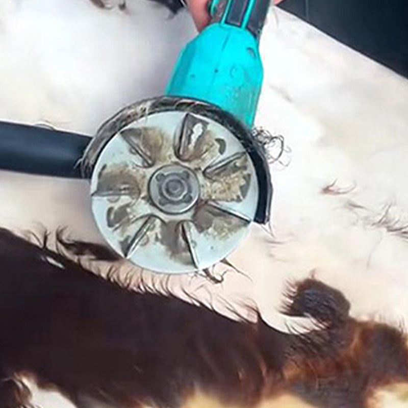 🧰Škrabka na odstraňovanie prasacích chlpov šetriaci prácu