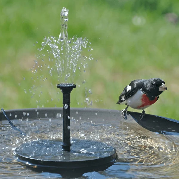 ⏳Časovo obmedzená špeciálna ponuka⏰Kompaktné solárne čerpadlo do fontány pre vtáky – Udržte svoju záhradu pri živote! 🐦️